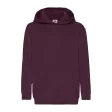 Kids Classic Hooded Sweat FullGadgets.com