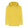 Kids Classic Hooded Sweat FullGadgets.com