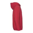 Kids Premium Hooded Sweat FullGadgets.com