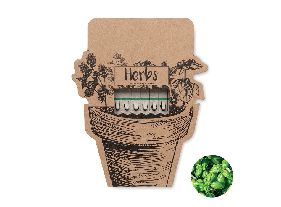 LEYTI - Bastoncini per semi di erbe FullGadgets.com