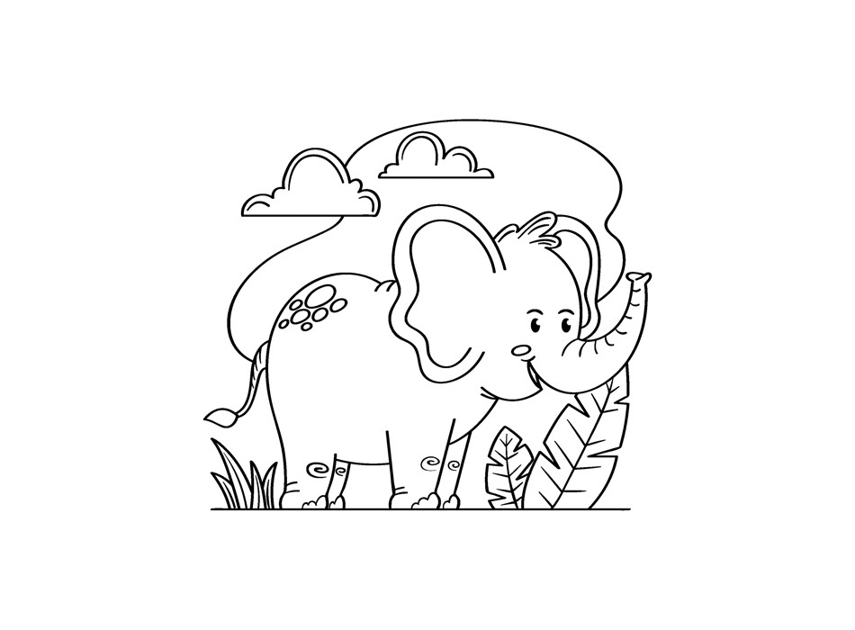 LIBRO DEI COLORI FullGadgets.com