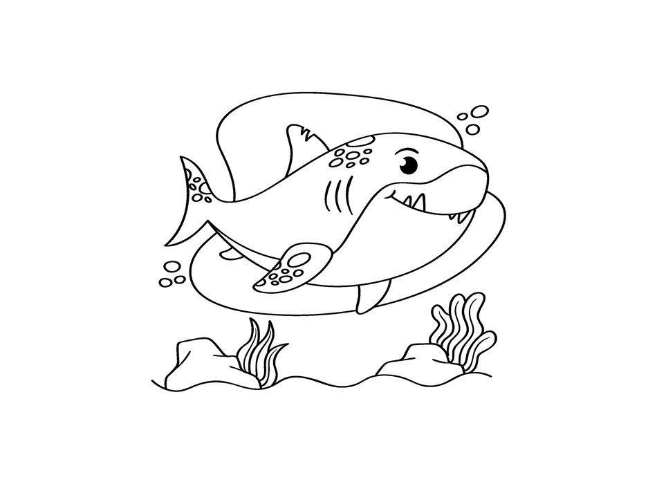 LIBRO DEI COLORI FullGadgets.com