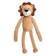 Lion Leon FullGadgets.com