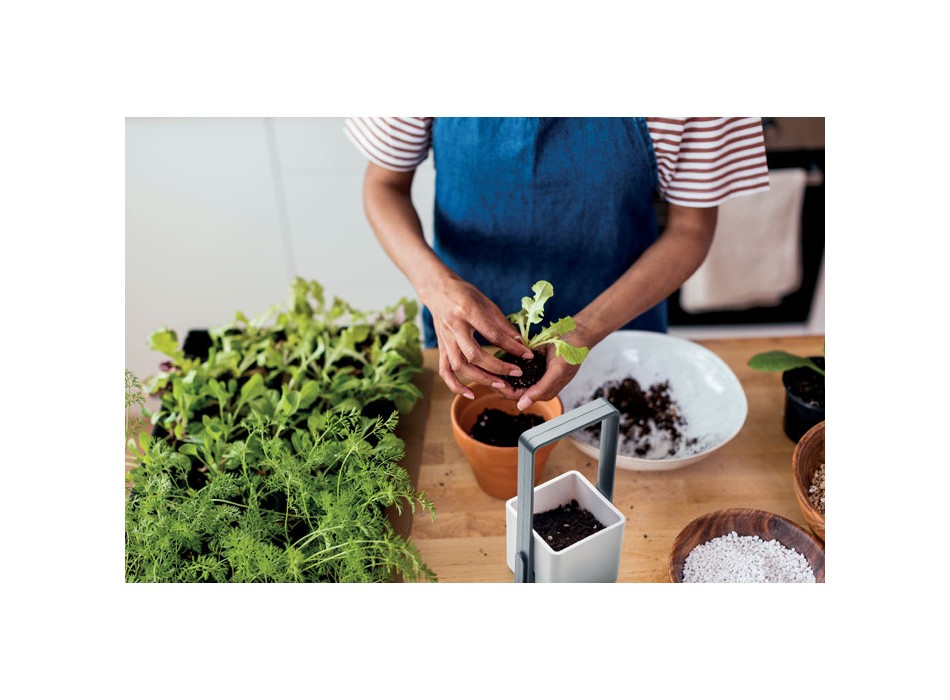 LUSHLET - Giardino interno con luce LED FullGadgets.com