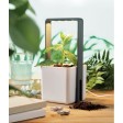 LUSHLET - Giardino interno con luce LED FullGadgets.com