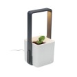 LUSHLET - Giardino interno con luce LED FullGadgets.com