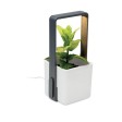 LUSHLET - Giardino interno con luce LED FullGadgets.com