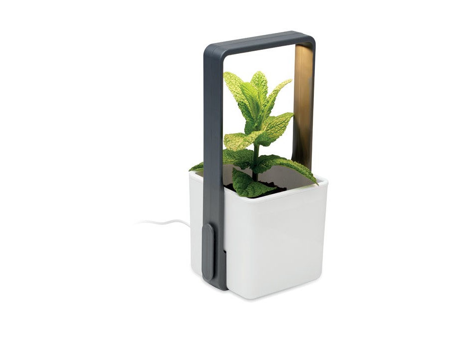 LUSHLET - Giardino interno con luce LED FullGadgets.com