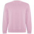 Maglione unisex a girocollo in cotone biologico Batian FullGadgets.com