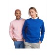 Maglione unisex a girocollo in cotone biologico Batian FullGadgets.com