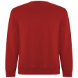 Maglione unisex a girocollo in cotone biologico Batian FullGadgets.com