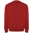 Maglione unisex a girocollo in cotone biologico Batian FullGadgets.com