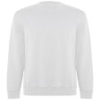 Maglione unisex a girocollo in cotone biologico Batian FullGadgets.com