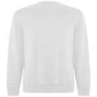 Maglione unisex a girocollo in cotone biologico Batian FullGadgets.com