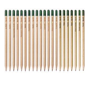 Matita Sprout in legno sostenibile con mina in grafite. Piantabile dopo l'utilizzo FullGadgets.com