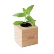 MENTA - Mini vaso in legno FullGadgets.com