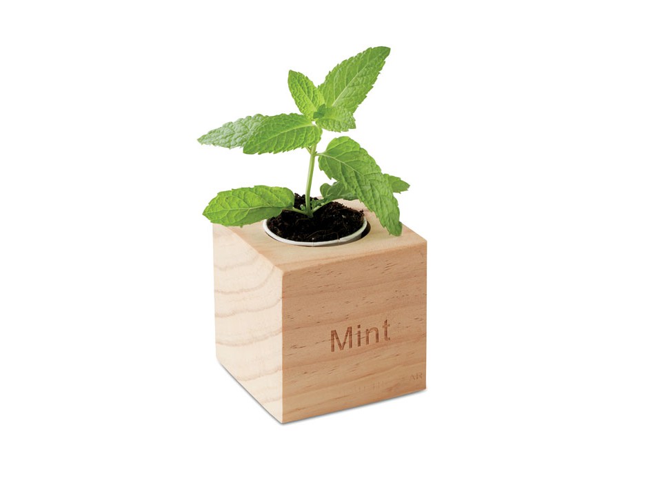 MENTA - Mini vaso in legno FullGadgets.com