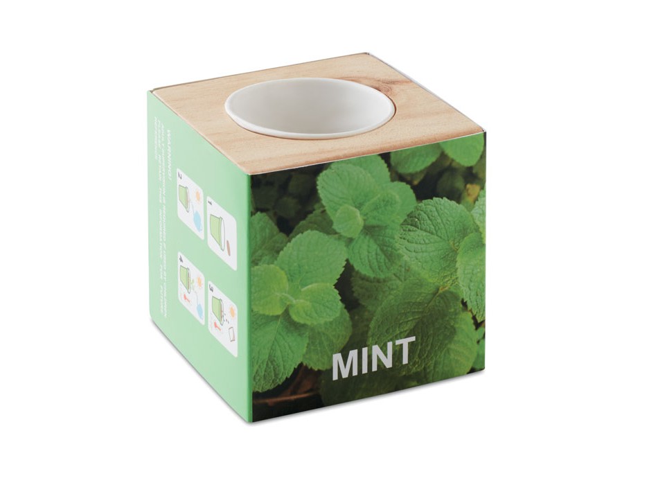 MENTA - Mini vaso in legno FullGadgets.com