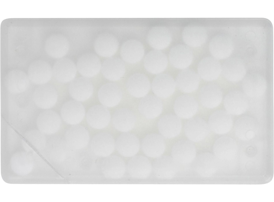 Mentine rettangolo, custodia in PP Judith FullGadgets.com