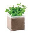 MINT - Semi di menta FullGadgets.com