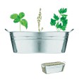 MIX SEEDS - Vaschetta con 3 semi di erbe FullGadgets.com