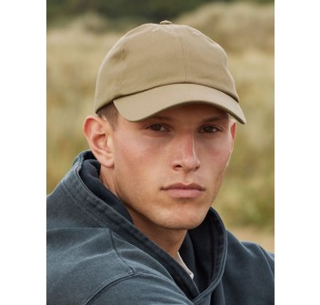 Organic Cotton 6 Panel Dad Cap FullGadgets.com