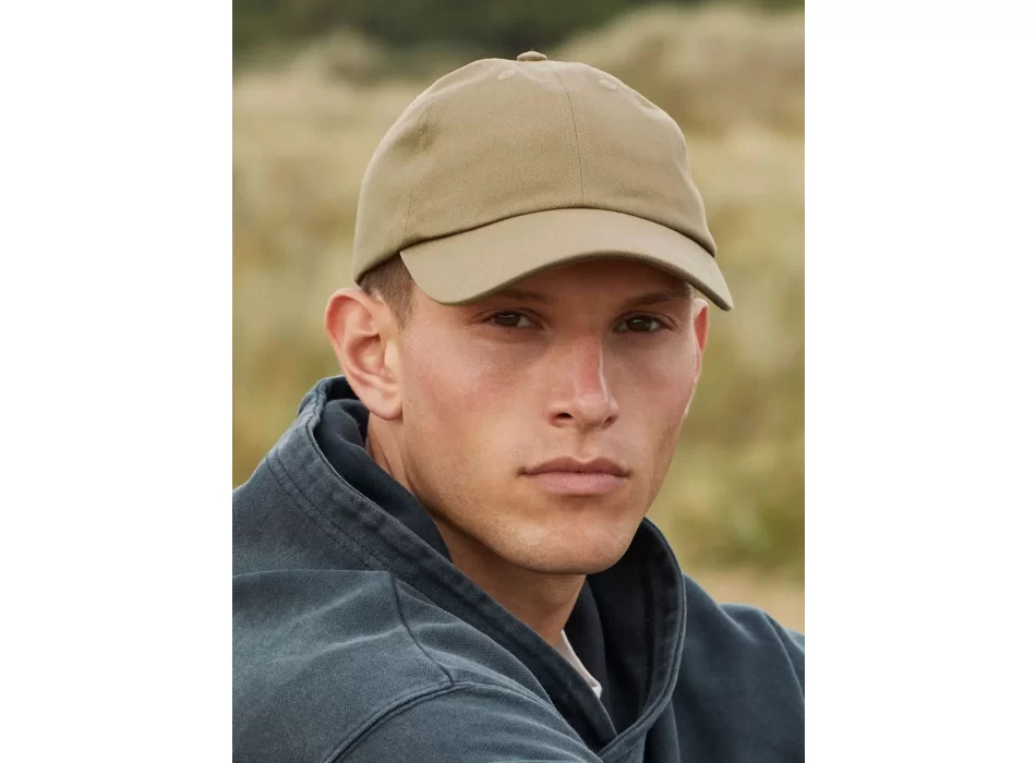 Organic Cotton 6 Panel Dad Cap FullGadgets.com