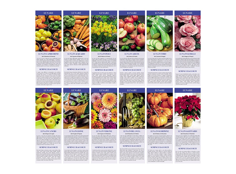 ORTO E GIARDINO FullGadgets.com