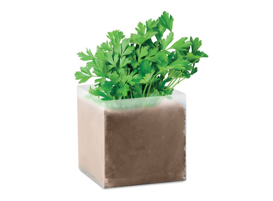 PARSELY - Semi di prezzemolo FullGadgets.com