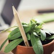 POMODORO FullGadgets.com