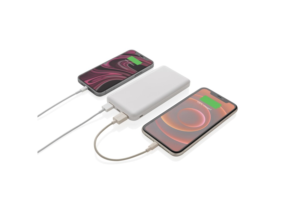 Powerbank tascabile da 10.000 mAh ad alta densità FullGadgets.com