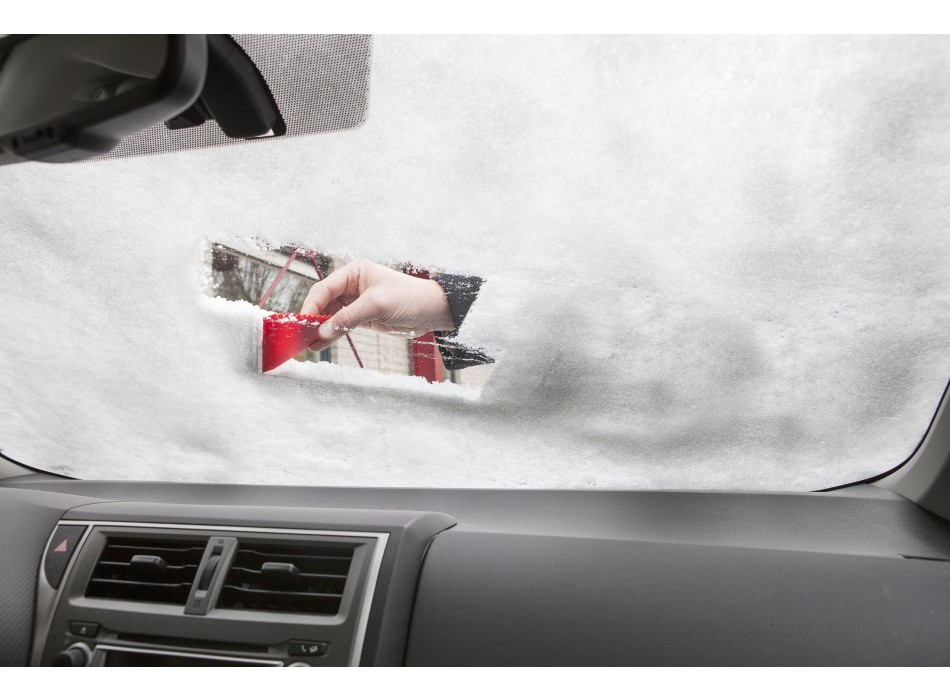 PS ice scraper Amaryllis FullGadgets.com