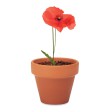 RED POPPY - Semi di papavero FullGadgets.com