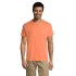 REGENT - T Shirt REGENT Uni 150g