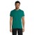 REGENT - T Shirt REGENT Uni 150g