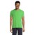 REGENT - T Shirt REGENT Uni 150g