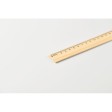RULER20 - Righello in legno 20 cm FullGadgets.com
