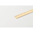 RULER20 - Righello in legno 20 cm FullGadgets.com
