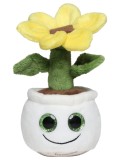 Schmoozies® Evergreenies® Girasole