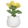 Schmoozies® Evergreenies® Girasole FullGadgets.com