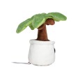 Schmoozies® Evergreenies® Palm Tree FullGadgets.com
