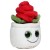 Schmoozies® Evergreenies® Rose
