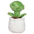 Schmoozies® Evergreenies® Venus Flytrap FullGadgets.com