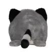 Schmoozies® Raccoon FullGadgets.com
