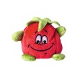 Schmoozies® tomato FullGadgets.com