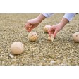 Set Bocce in legno Quillian FullGadgets.com