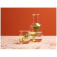 Set di caraffa e bicchieri in vetro con finitura opaca Amelie FullGadgets.com