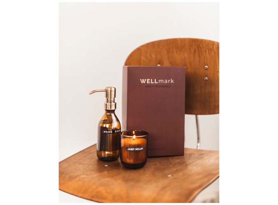 Set di dispenser di sapone per le mani da 250 ml e candela profumata da 150 g Wellmark Discovery FullGadgets.com