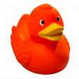 Squeaky duck 100%PVC FullGadgets.com