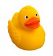 Squeaky duck 100%PVC FullGadgets.com